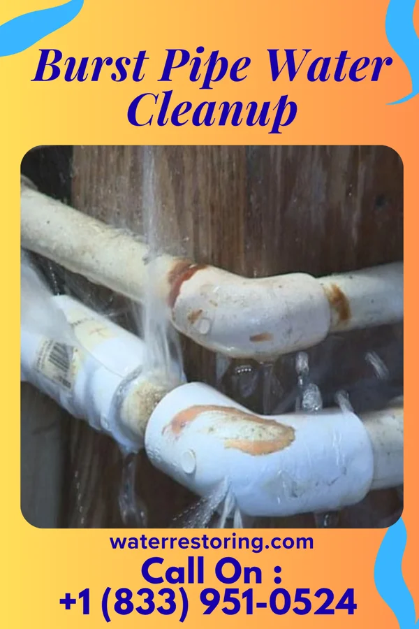 Burst Pipe Water Cleanup in Pleasant Ridge, KY