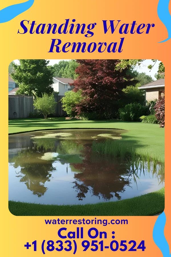 Standing Water Removal in Pleasant Ridge, KY